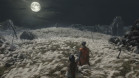 只狼:影逝二度 Sekiro™: Shadows Die Twice 杉果游戏 sonkwo