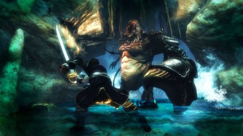 undefined Risen 2: Dark Waters Gold Edition 杉果游戏 sonkwo