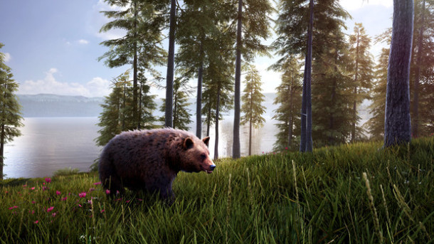 模拟狩猎2：猎熊包 Hunting Simulator 2 Bear Hunter Pack 杉果游戏 sonkwo