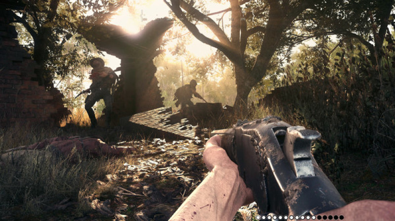 undefined Hunt: Showdown - Soundtrack 杉果游戏 sonkwo