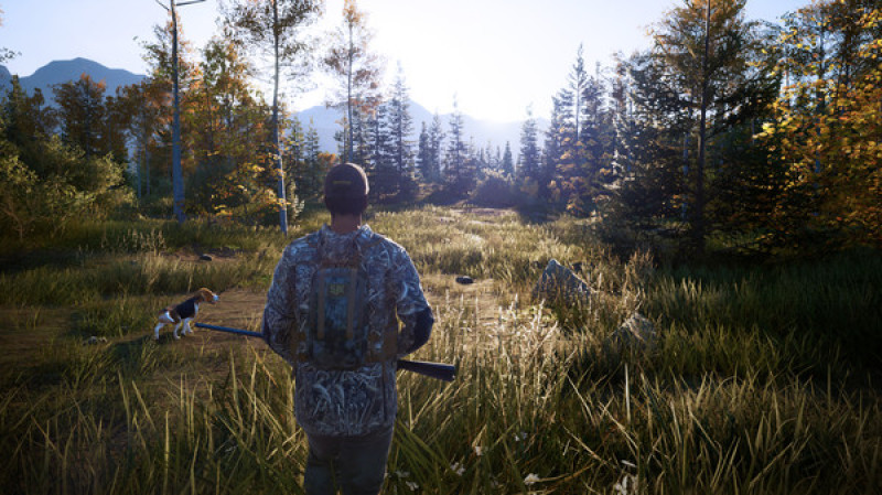 undefined Hunting Simulator 2 Elite Edition 杉果游戏 sonkwo