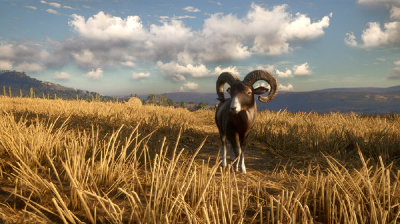 undefined theHunter: Call of the Wild™ - Cuatro Colinas Game Reserve 杉果游戏 sonkwo