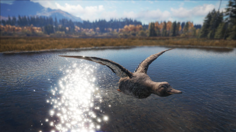 undefined theHunter: Call of the Wild™ - Duck and Cover Pack 杉果游戏 sonkwo