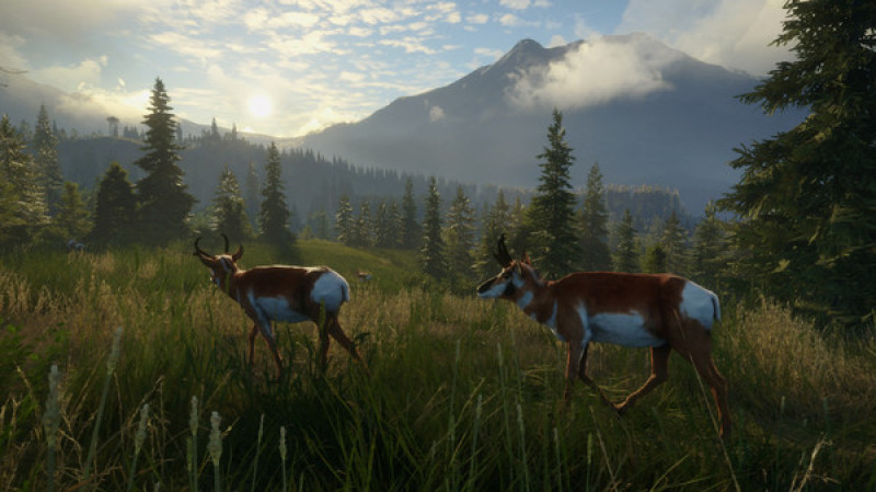undefined theHunter: Call of the Wild™ - Silver Ridge Peaks 杉果游戏 sonkwo