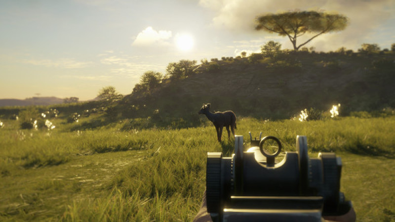 undefined theHunter: Call of the Wild™ - Smoking Barrels Weapon Pack 杉果游戏 sonkwo