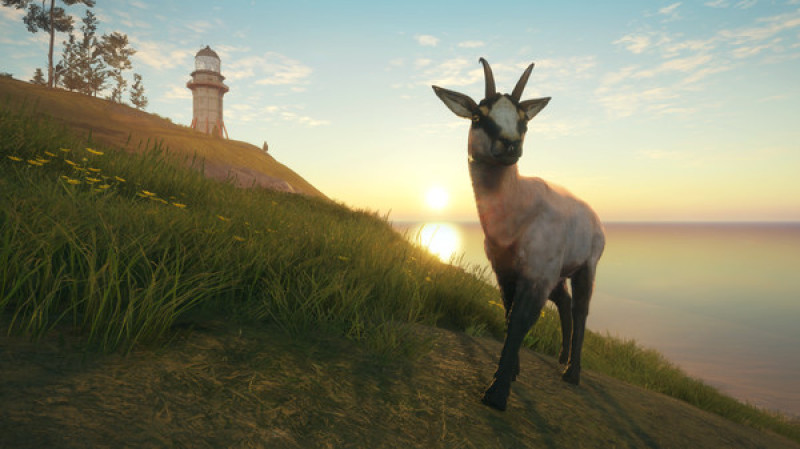 undefined theHunter: Call of the Wild™ - Te Awaroa National Park 杉果游戏 sonkwo