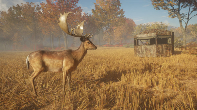 undefined theHunter: Call of the Wild™ - Tents & Ground Blinds 杉果游戏 sonkwo