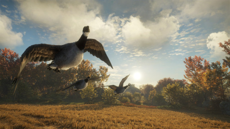 undefined theHunter: Call of the Wild™ - Wild Goose Chase Gear 杉果游戏 sonkwo